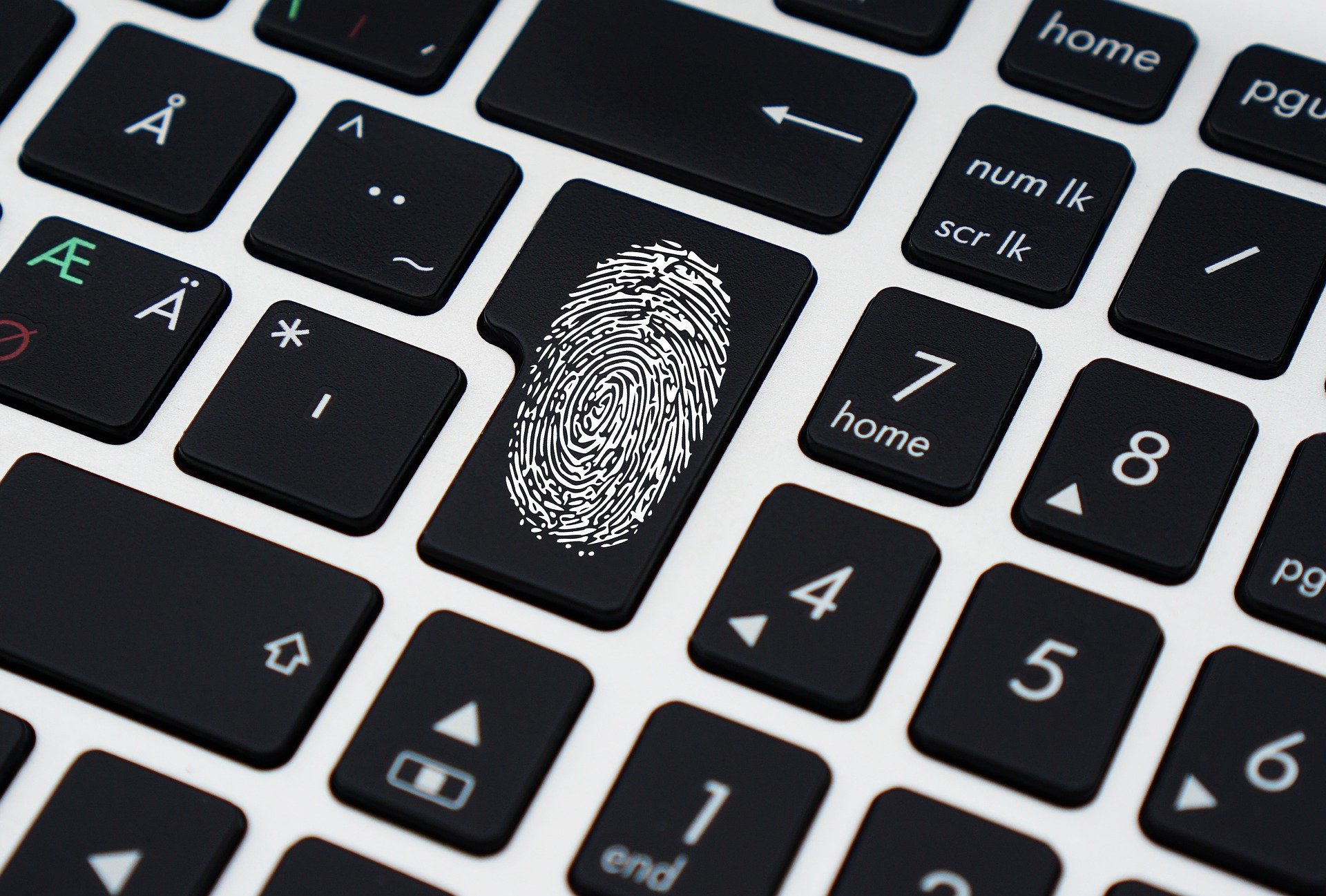Homomorphic Encryption in Python